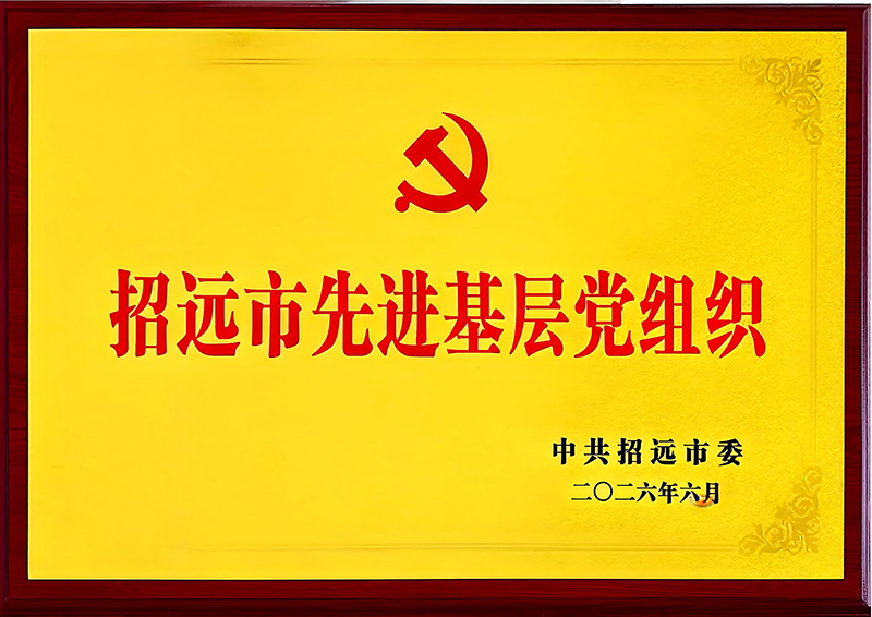 招远市先进基层党组织